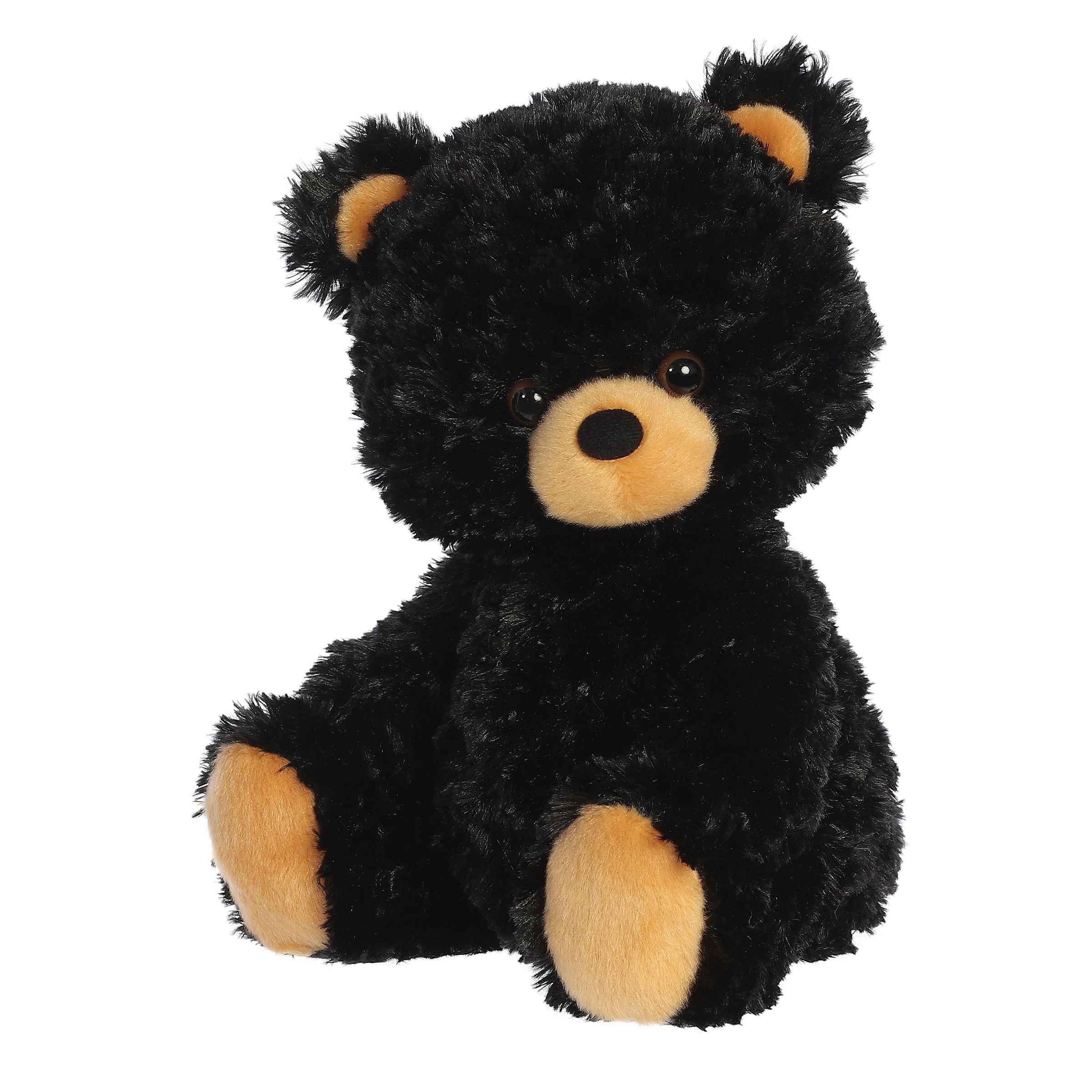 Black Bear Cub