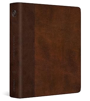 (Book) ESV Journaling Bible
