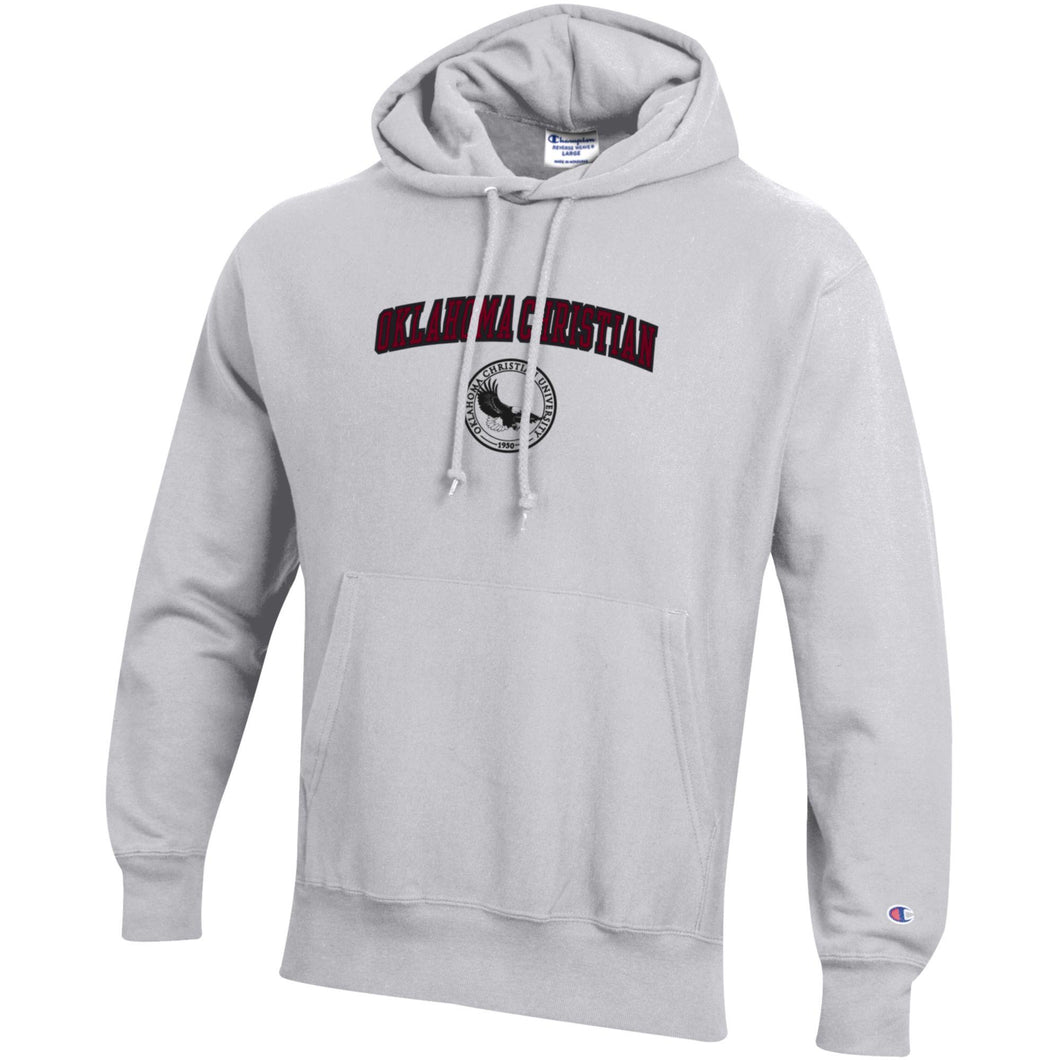 Reverse Weave Hood | Silver Grey